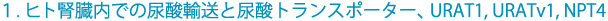 1.ヒト腎臓内での尿酸輸送と尿酸トランスポーター、URAT1, URATv1, NPT4